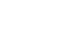 VSO logo