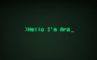 Green retro computer text on a black screen reading "Hello I'm Ara" with a blinking cursor.